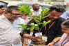 Giridih News: सुभाष इंस्टीट्यूट ऑफ टेक्नोलॉजी में विश्व पर्यावरण दिवस पर भव्य वृक्षारोपण