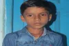 Koderma News: जामुन के पेड़ पर गिरी बिजली, एक बच्चे की मौत, दूसरा गंभीर रूप से घायल
