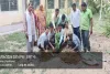 Palamu News: विश्व पर्यावरण दिवस पर गुलाबचंद अग्रवाल कॉलेज में “हरियाली महोत्सव-2026” का आयोजन