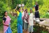 Pakur News: आजादी के दशकों बाद भी मूलभूत सुविधाओं से वंचित है आदिम जनजाति बहुल छूरीधारी गांव