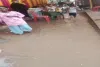 हर बारिश में तालाब बन जाती हैं गलियां, जल निकासी नहीं होने से ग्रामीण परेशान