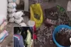 Koderma News: पुलिस और खनन विभाग की बड़ी कार्रवाई, 160 किलो कीमती ब्लू स्टोन जब्त