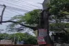 Koderma News: रांची-पटना NH पर युवराज होटल के समीप जर्जर वृक्ष बना काल, प्रशासन से कार्रवाई की मांग