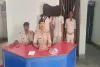 Koderma News: दुमदुमा में डीसीएम ट्रक पर लोड हो रहे 65 डीआई पाइप के साथ दो पकड़े गए