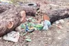 Sahebganj News: वन विभाग के आश्वासन के बाद भी गायब हुई लकड़ी, ग्रामीणों में भारी आक्रोश