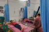 Koderma News: जंगली बांस की खुखड़ी खाने से चार बच्चे और महिला बीमार, सदर अस्पताल में भर्ती
