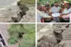 Sahibganj Flood Alert: गंगा ने दिखाया रौद्र रूप, खतरे के निशान से ऊपर पहुंचा जलस्तर; दर्जनों गांवों पर संकट
