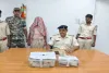 Pakur Crime News: लिट्टीपाड़ा में अवैध शराब फैक्ट्री का भंडाफोड़, एक आरोपी गिरफ्तार