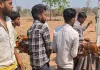 Latehar News: एक चीख, भगदड़ और फिर सन्नाटा… जंगल की खामोशी में छिपा था खौफ, दो महिलाएं नहीं लौटी घर वापस?