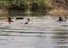 तालाब में नहाने गए 60 वर्षीय वृद्ध की डूबने से मौत, 26 घंटे बाद गोताखोरों ने शव किया बरामद