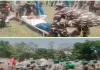 बकरीद को लेकर चतरा पुलिस अलर्ट, न्यू पुलिस लाइन में हुआ मॉक ड्रिल
