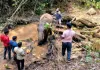 सारंडा जंगल में IED ब्लास्ट से घायल हाथी की मौत, एक सप्ताह तक चला इलाज