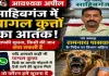 साहिबगंज में पागल कुत्तों का आतंक, पकड़कर देने वाले को मिलेगा ₹2000 इनाम