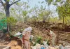 उत्पाद विभाग की बड़ी छापेमारी, अवैध शराब भट्टी ध्वस्त, 2000 किलो जावा महुआ और 90 लीटर शराब जब्त, एक गिरफ्तार