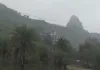 गंगा और डॉल्फिन संरक्षण पर NGT में सुनवाई, अरशद नसर को मिला एक माह का समय