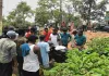 Dumka News: तेज रफ्तार का कहर: पेड़ से टकराई बाइक, जीजा-साला की दर्दनाक मौत
