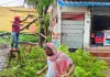 Sahebganj News: आंधी-बारिश का कहर: बिजली के तारों पर गिरा नीम का पेड़, आपूर्ति ठप