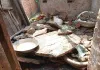 Bokaro News: आंधी-बारिश के बीच वज्रपात का कहर, पक्का मकान ढहा, महिला गंभीर