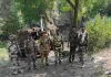 बाघमारा में कोयला माफिया के खिलाफ बड़ा एक्शन: सीआईएसएफ और बीसीसीएल प्रबंधन ने भरे कई अवैध मुहाने