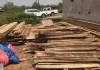 Koderma News: वन विभाग की अब तक की सबसे बड़ी कार्रवाई, एसपी आवास के पीछे घर में चल रहे अवैध लकड़ी गोदाम का भंडाफोड़