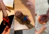 Natasha Dolls: सुइयां, चाकू और एक गुड़िया... चीन से शुरू हुआ विवाद अब दुनिया भर में चर्चा का विषय