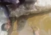 अंधविश्वास की दर्दनाक पराकाष्ठा: सांप के डंसने से 12 वर्षीय बच्चे की मौत, शव को गोबर-गोमूत्र में लपेटकर 12 घंटे तक तंत्र-मंत्र