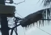 साहिबगंज का वार्ड-26 अंधेरे में कैद: काली मंदिर से हर गली तक बत्ती गुल, वार्डवासियों में आक्रोश