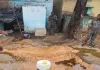 Hazaribagh News: उपायुक्त हेमन्त सती के निर्देश पर 300 लीटर अवैध महुआ शराब जब्त