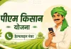 PM Kisan 23rd Installment: खाते में नहीं आए ₹2,000? तुरंत करें इस नंबर पर कॉल, मिनटों में मिलेगी जानकारी