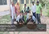 Palamu News: विश्व पर्यावरण दिवस पर गुलाबचंद अग्रवाल कॉलेज में “हरियाली महोत्सव-2026” का आयोजन