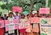 Pakur News: झारखंड विकास परिषद् ने जितको में मनाया पर्यावरण दिवस, लिया संरक्षण का संकल्प