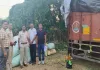 Hazaribagh News: पंजाब जा रहे ट्रक से 3 क्विंटल 5 किलो डोडा बरामद, तस्करी नेटवर्क ध्वस्त