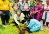 Sahibganj News: मॉडल कॉलेज राजमहल में प्रेमचंद जयंती पर वृक्षारोपण, साहित्य और पर्यावरण संरक्षण का दिया संदेश