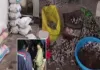 Koderma News: पुलिस और खनन विभाग की बड़ी कार्रवाई, 160 किलो कीमती ब्लू स्टोन जब्त