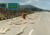 Sahibganj News: NH-80 पर अतिक्रमण से परेशानी, सड़क पर सुखाया जा रहा पटसन