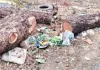 Sahebganj News: वन विभाग के आश्वासन के बाद भी गायब हुई लकड़ी, ग्रामीणों में भारी आक्रोश