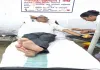 Sahibganj News: प्रोफेसर कुमार प्रशांत भारती ने 14वीं बार किया रक्तदान, बचाई गंभीर मरीज की जान