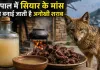 सियार के मांस वाली शराब! नेपाल की अनोखी परंपरा ने खींचा लोगों का ध्यान