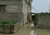 Sahebganj News: दियारा क्षेत्र के चासा टोला में गंगा के कहर से डूबे दर्जनों मकान
