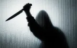 Bengaluru Triple Murder Case: लिव-इन पार्टनर के लिए बेटी बनी कातिल? माता-पिता और बहन की हत्या से सनसनी