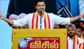 क्या विजय और AIADMK तमिलनाडु में हाथ मिलाएंगे? रुझानों ने फिर जगाई गठबंधन की उम्मीद