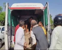 हमीरपुर में  तेज रफ्तार बाइक बकरी से टकराई, दरोगा घायल