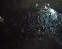 Sahebganj News : पूर्वी और पश्चिमी फाटक इलाके में सफाई व्यवस्था ध्वस्त, बढ़ा बीमारी का खतरा