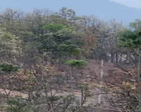 चतरा में प्रेम प्रसंग के चलते महिला की हत्या, दो बच्चे अनाथ