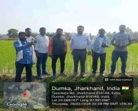 Dumka News : जिला परिषद सदस्य श्रीमान सिंह के प्रयास से 50 किसानों को मिला निशुल्क कीटनाशक