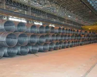 सेल का अब तक का सर्वश्रेष्ठ प्रदर्शन, बिक्री में 16% की बड़ी छलांग