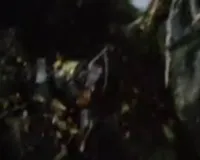 झारखंड में एयर एंबुलेंस हादसा: रांची से दिल्ली जा रही फ्लाइट चतरा के सिमरिया में दुर्घटनाग्रस्त, 7 लोग सवार