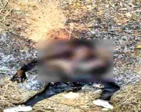 Palamu News: झाड़ियों से बरामद हुआ युवक का अधजला शव, एसपी ने घटना की दी विस्तृत जानकारी