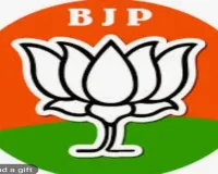 प्रदेश भाजपा की नई कमेटी को लेकर उठ रहे सवाल, हार से सबक नहीं, अंगद की पांव की तरह जमे हुए हैं कई नेता