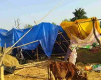 Koderma News:  हाथियों का तांडव, 2 लोगों की मौत, 6 मवेशी मारे